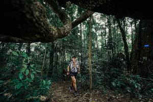 BIB: 
                            <button type="button" onclick="openModal(25391162)" class="btn btn-primary btn-sm float-right btn-popup" data-toggle="modal" data-target=".modal-high-quality">
                        <i class="fas fa-shopping-cart"></i> Add to Cart
                    </button>
                                            <button type="button" onclick="isThisMe(25391162, true)" class="btn btn-success btn-sm float-right btn-popup btn-isme hidden" data-toggle="tooltip" data-placement="bottom" title="นี่คือรูปของคุณใช่ไหม คลิกที่นี่เพื่อเอาเข้าอัลบั้ม">
                        <i class="fas fa-plus"></i> Add to album
                    </button>
                    <button type="button" onclick="isThisMe(25391162, false)" class="btn btn-warning btn-sm float-right btn-popup btn-isnotme hidden">
                        <i class="fas fa-ban"></i> Remove from album
                    </button>